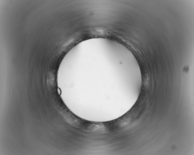 X0000091070715200709041219