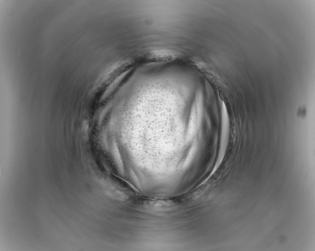 X0000091070716200709041219