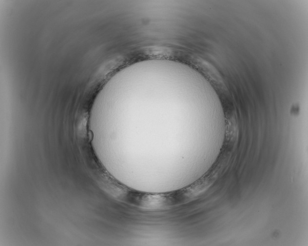 X0000091070717200709041219