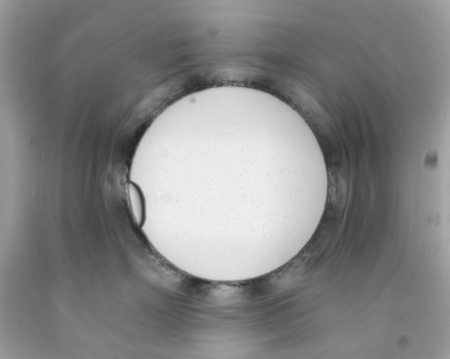 X0000091070718200709041219