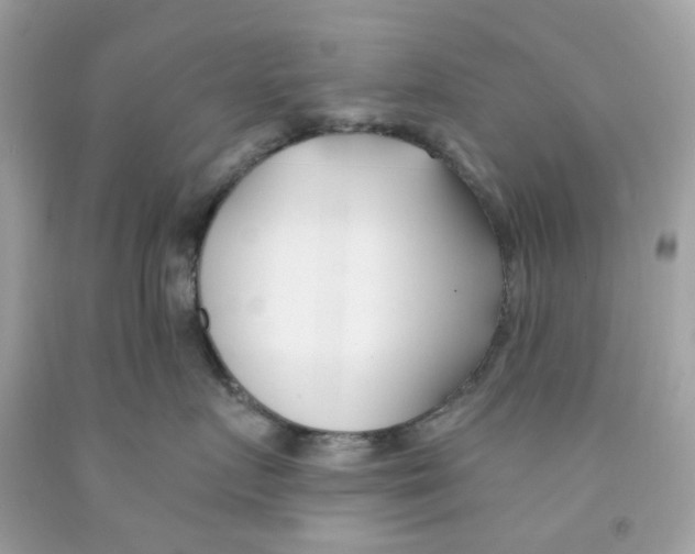 X0000091070719200709041219