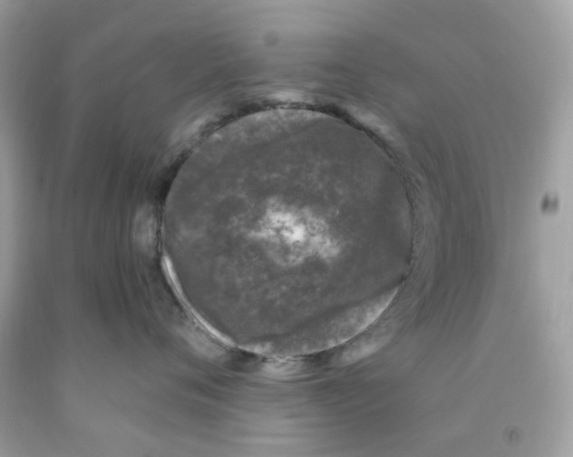 X0000091070720200709041219