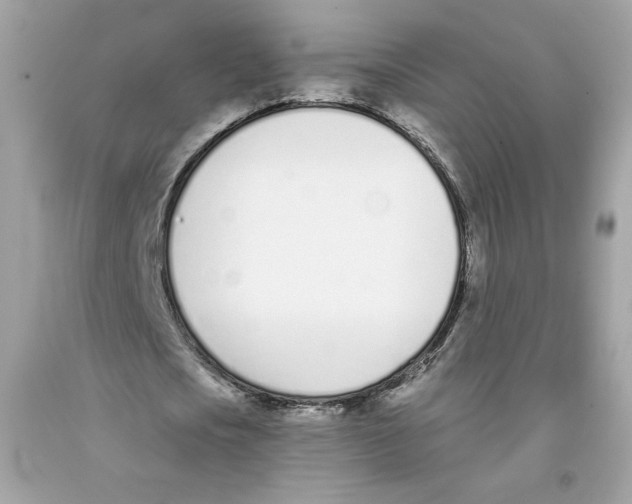 X0000091070721200709041219
