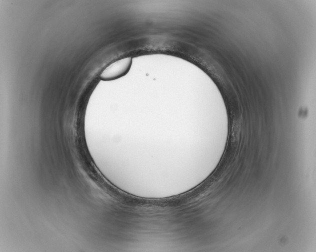 X0000091070722200709041219