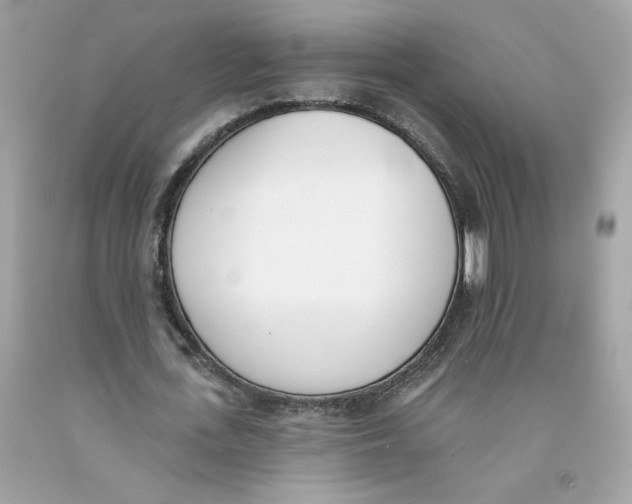 X0000091070723200709041219