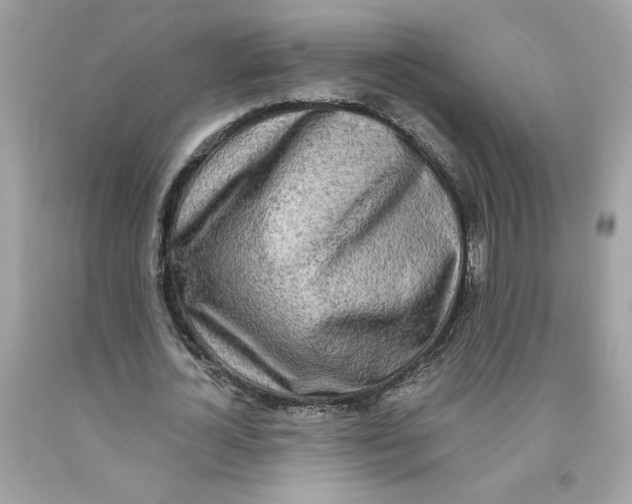 X0000091070724200709041219
