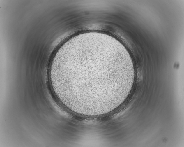 X0000091070725200709041219
