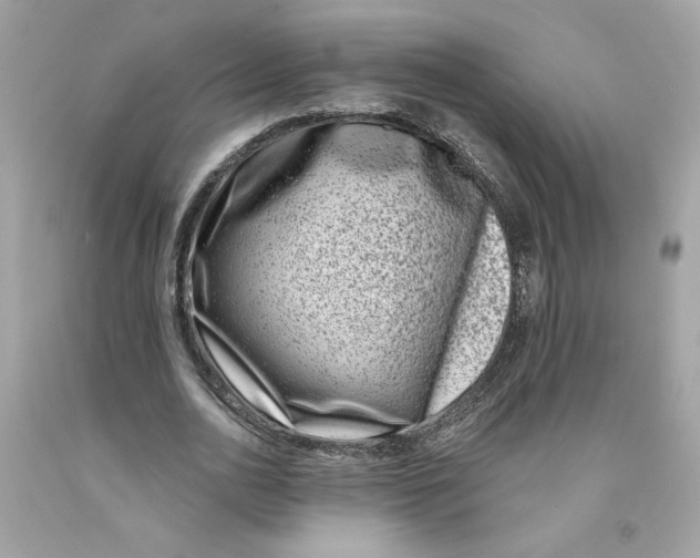 X0000091070726200709041219