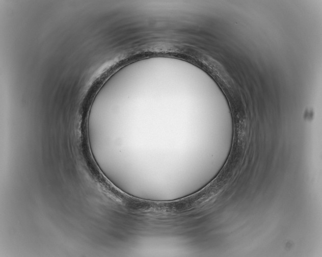 X0000091070727200709041219