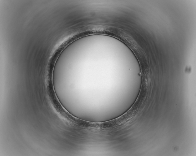 X0000091070728200709041219