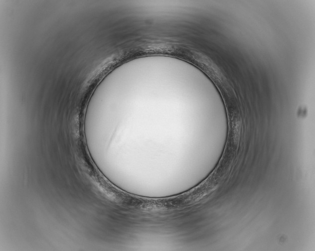 X0000091070729200709041219