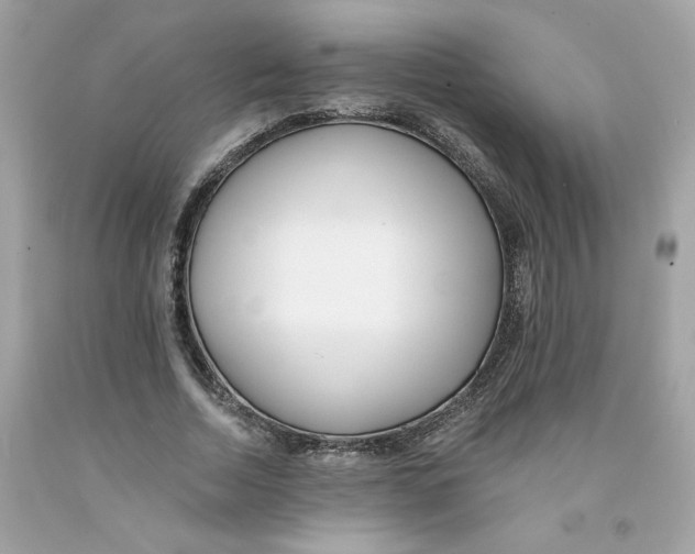 X0000091070730200709041219