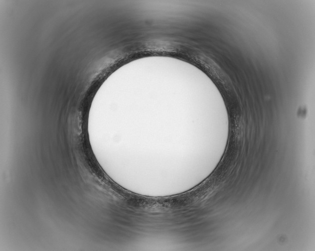 X0000091070731200709041219