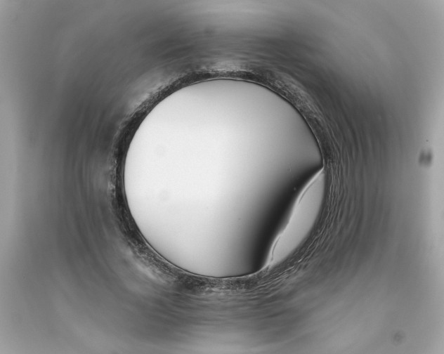 X0000091070732200709041219