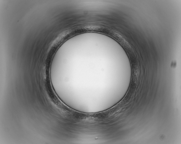 X0000091070734200709041219
