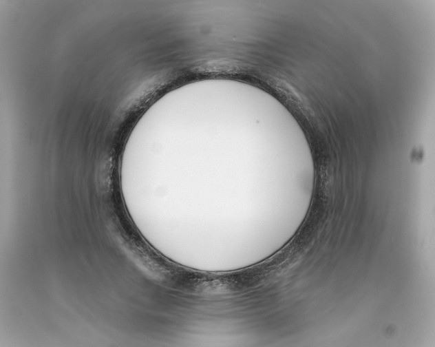X0000091070735200709041219