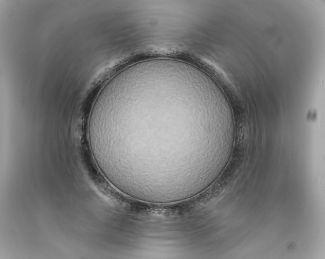 X0000091070736200709041219
