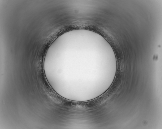 X0000091070737200709041219