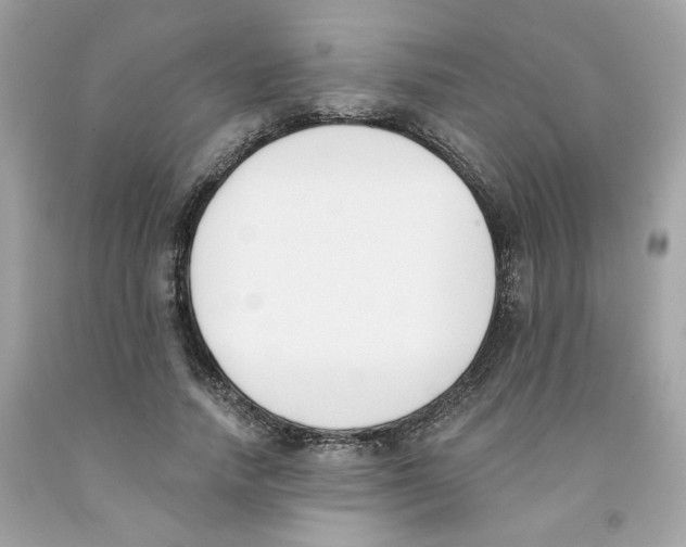 X0000091070738200709041219