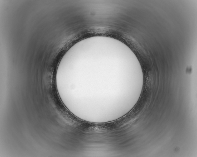 X0000091070739200709041219