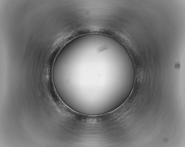 X0000091070740200709041219