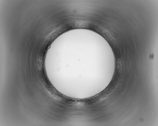 X0000091070741200709041219
