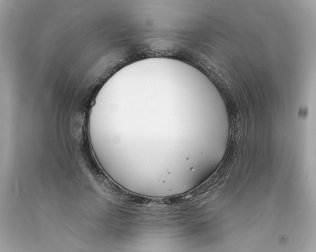 X0000091070742200709041219