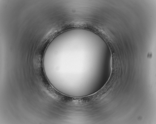 X0000091070744200709041219