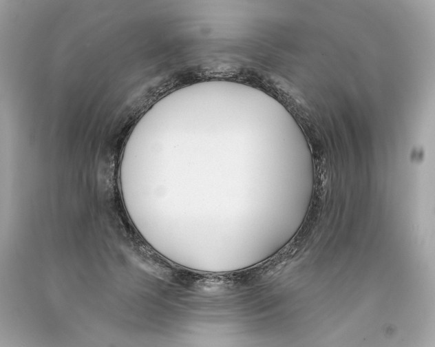 X0000091070745200709041219