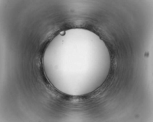 X0000091070746200709041219
