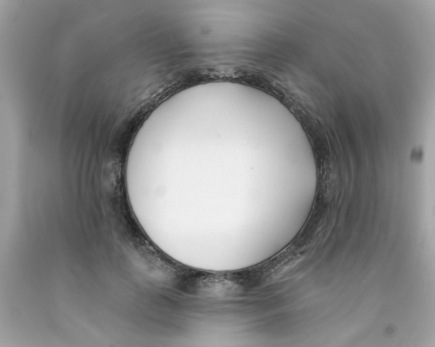 X0000091070747200709041219