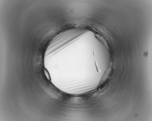X0000091070748200709041219