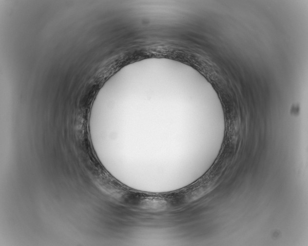 X0000091070749200709041219