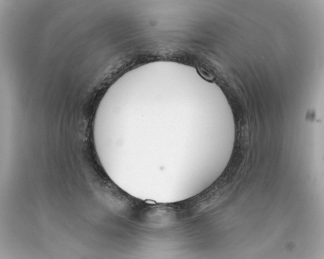 X0000091070750200709041219