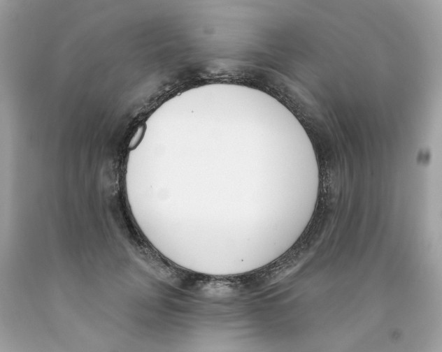 X0000091070751200709041219