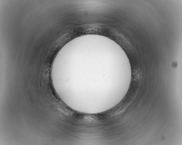 X0000091070753200709041219