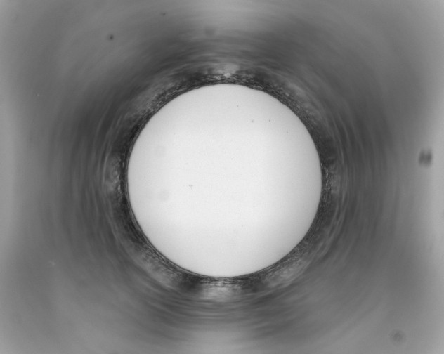 X0000091070754200709041219