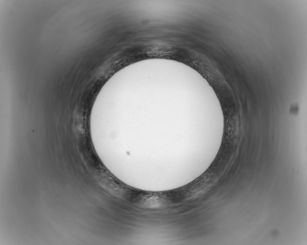 X0000091070755200709041219