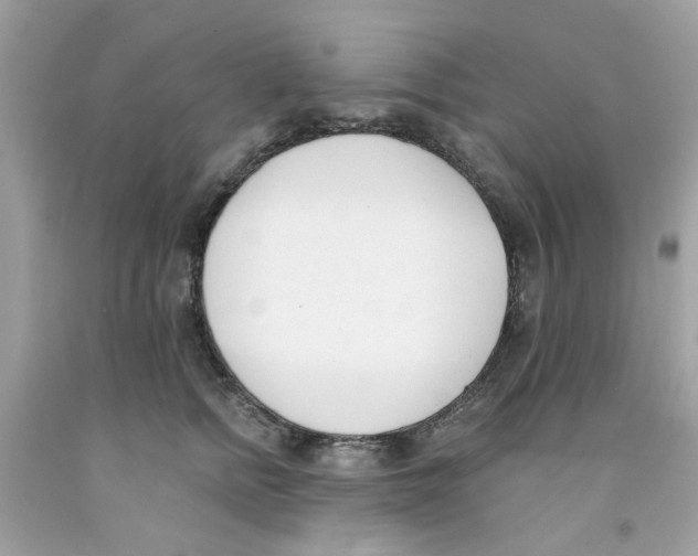 X0000091070758200709041219