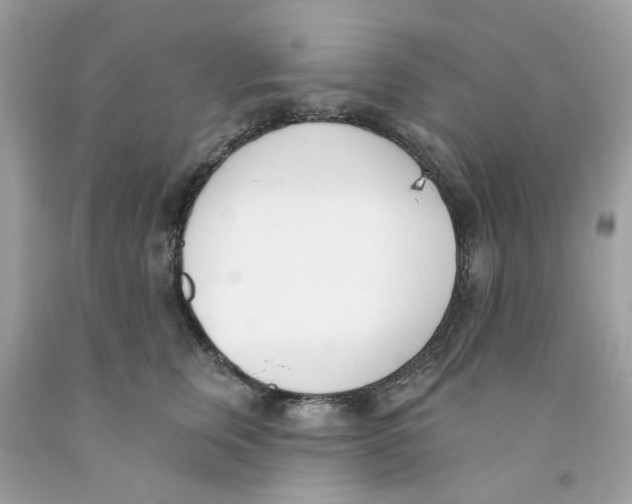 X0000091070759200709041219