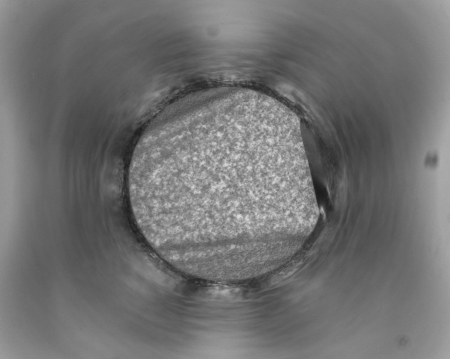 X0000091070760200709041219