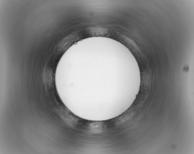 X0000091070761200709041219