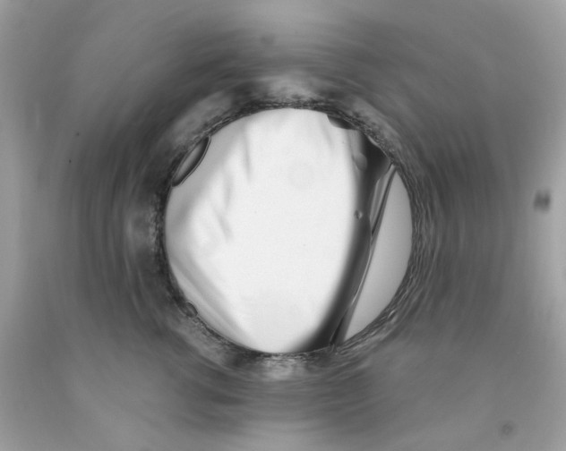 X0000091070762200709041219