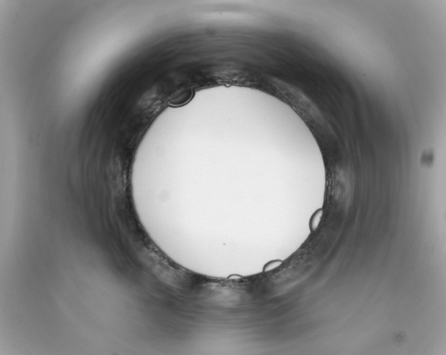 X0000091070763200709041219