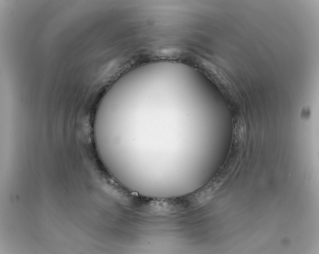 X0000091070764200709041219
