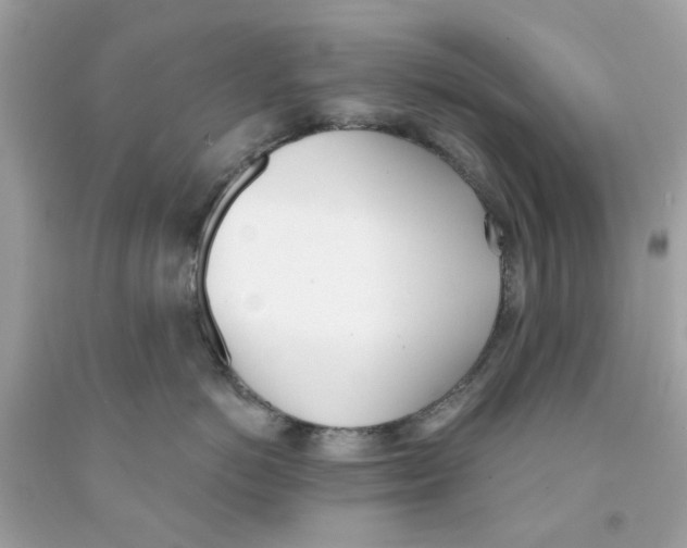 X0000091070766200709041219