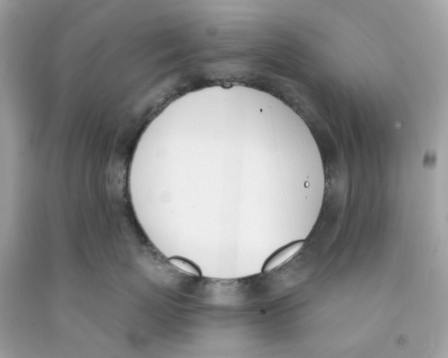 X0000091070767200709041219