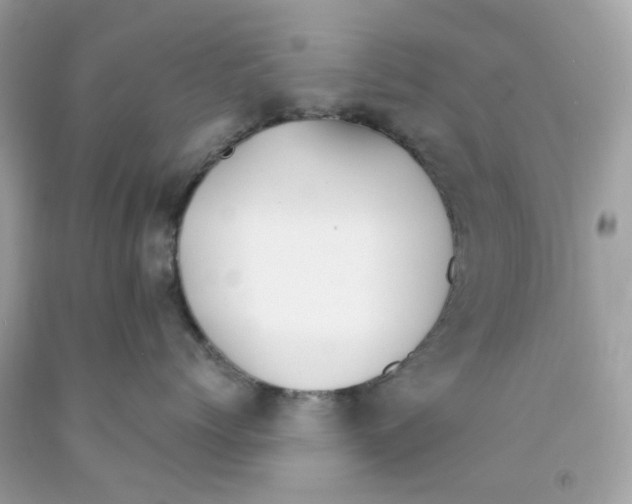 X0000091070768200709041219