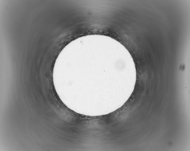 X0000091070769200709041219