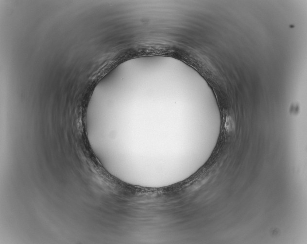 X0000091070771200709041219